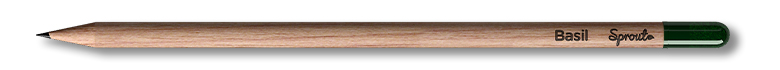 Standard engraved pencil